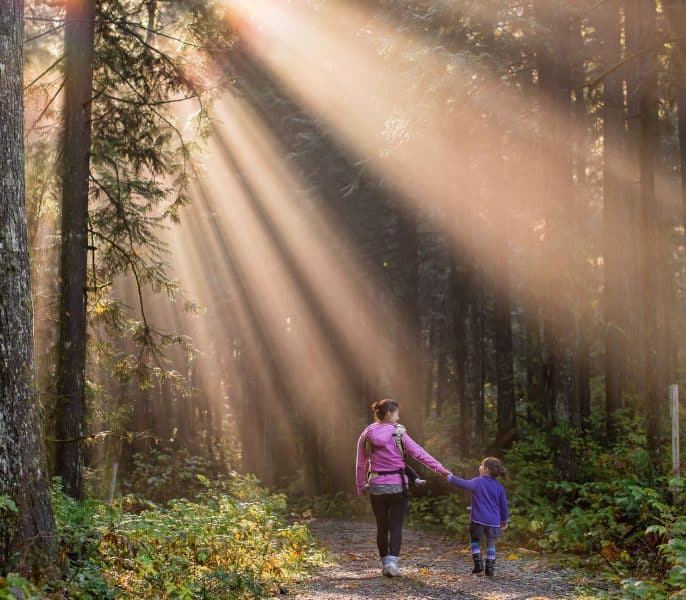 Mother and child walking hand in hand through a sunlit forest path, surrounded by tall trees and beams of sunlight.